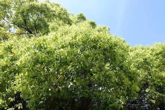 DSC00022.JPG