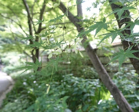 DSC00045.JPG
