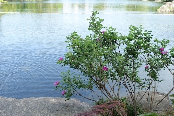 DSC00079 2.JPG